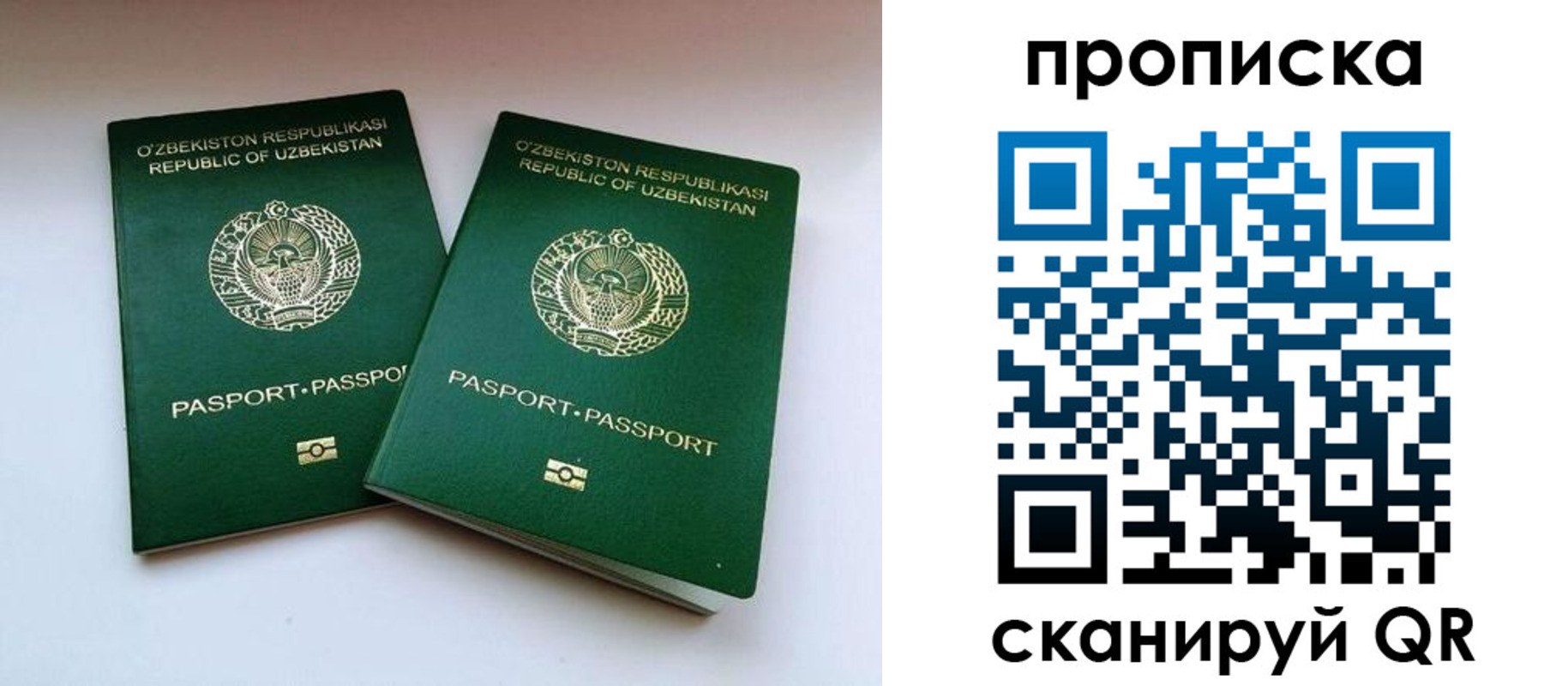 прописка поиск в Бронницах